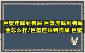 巨蟹座踩到狗屎 巨蟹座踩到狗屎会怎么样/巨蟹座踩到狗屎 巨蟹座踩到狗屎会怎么样-我的网站